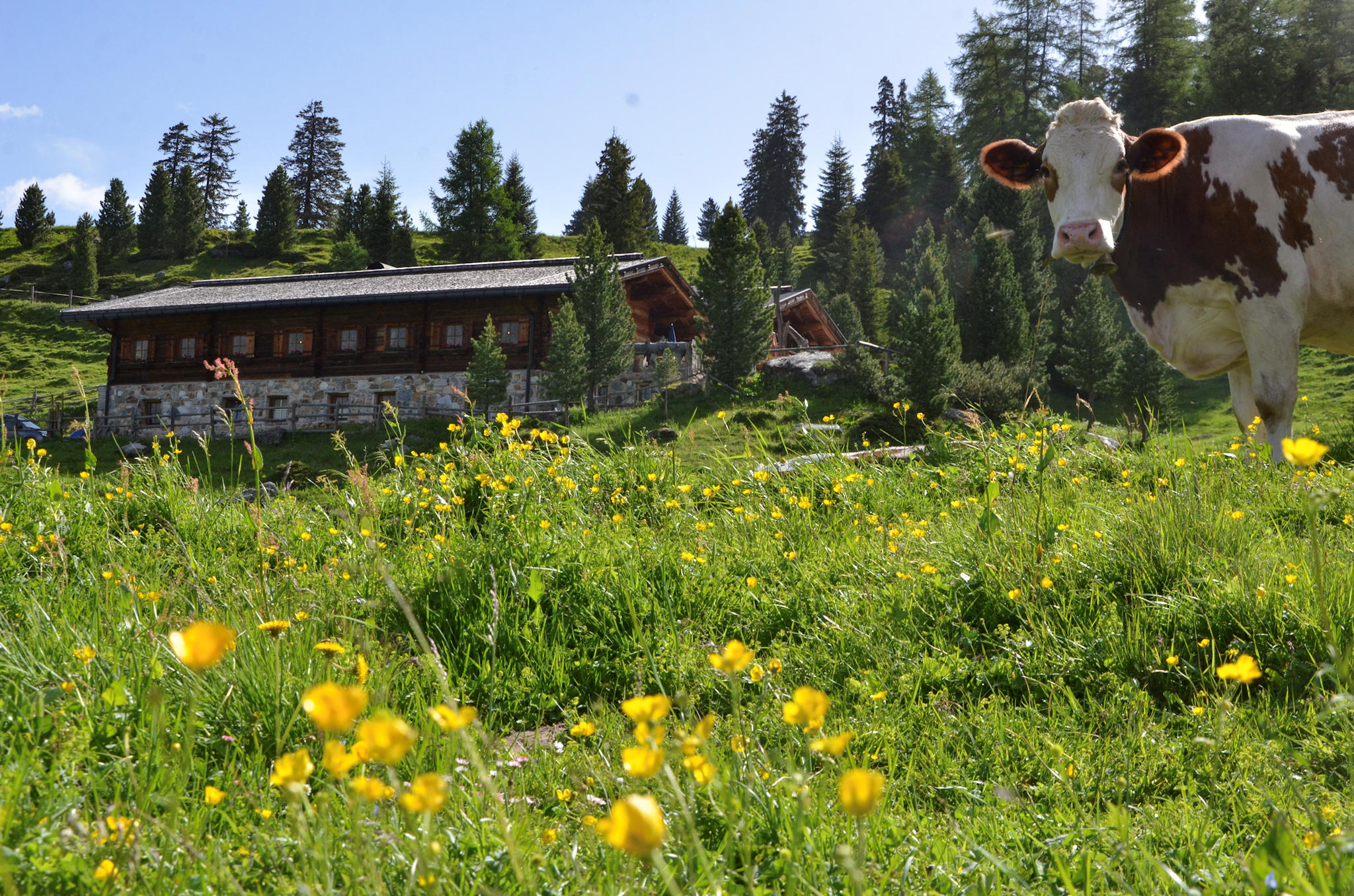 grieralm-naturparadies-zillertal-huettenzauber