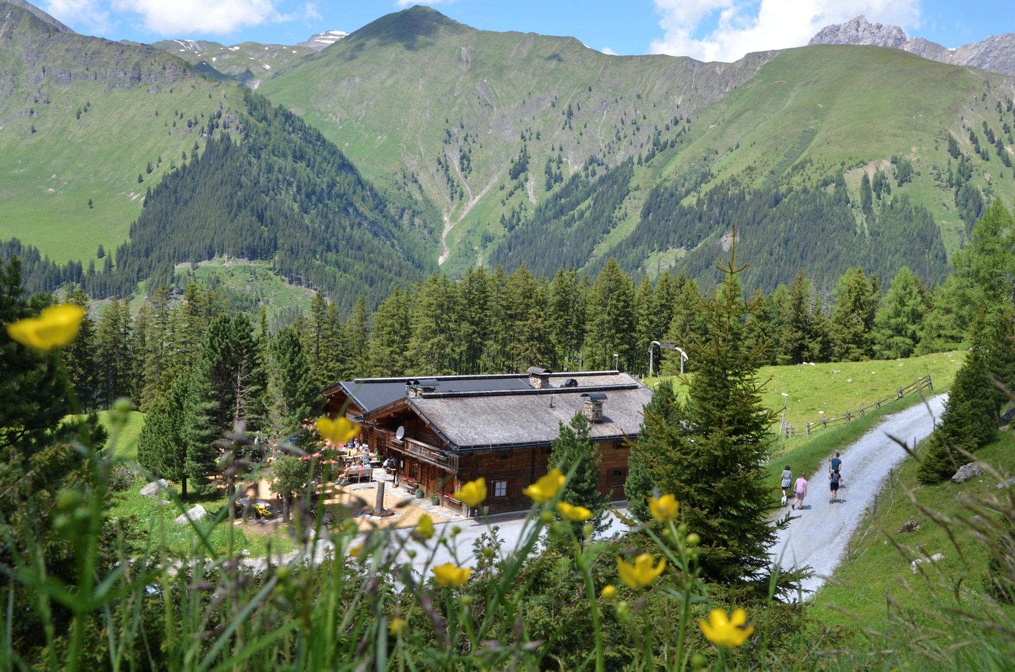 grieralm-zillertal